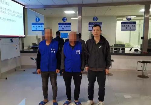 宁乡新闻爆料热线最新,聚焦民生热点，传递社会声音