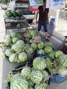 淄博吃瓜爆料事件视频最新,揭秘事件背后惊人真相  第2张